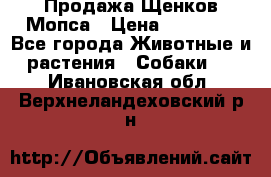 Продажа Щенков Мопса › Цена ­ 18 000 - Все города Животные и растения » Собаки   . Ивановская обл.,Верхнеландеховский р-н